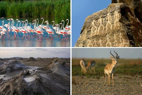 Gobustan and Shirvan National Park: Petroglyphs, Mud Volcanoes and Gazelles